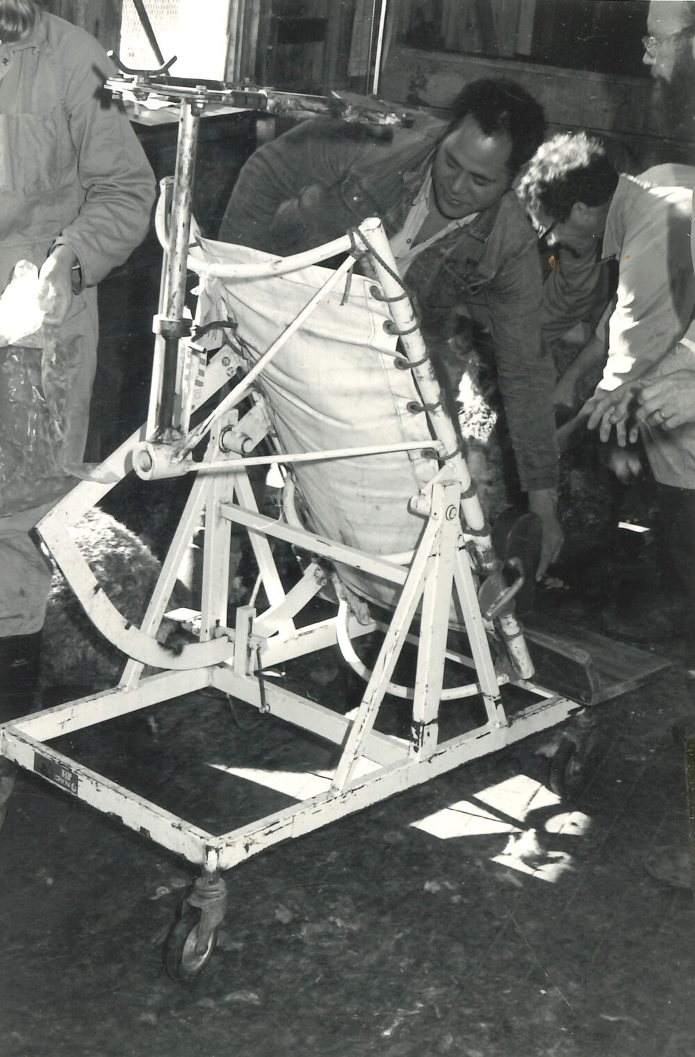 Operation table - Sheep - 9