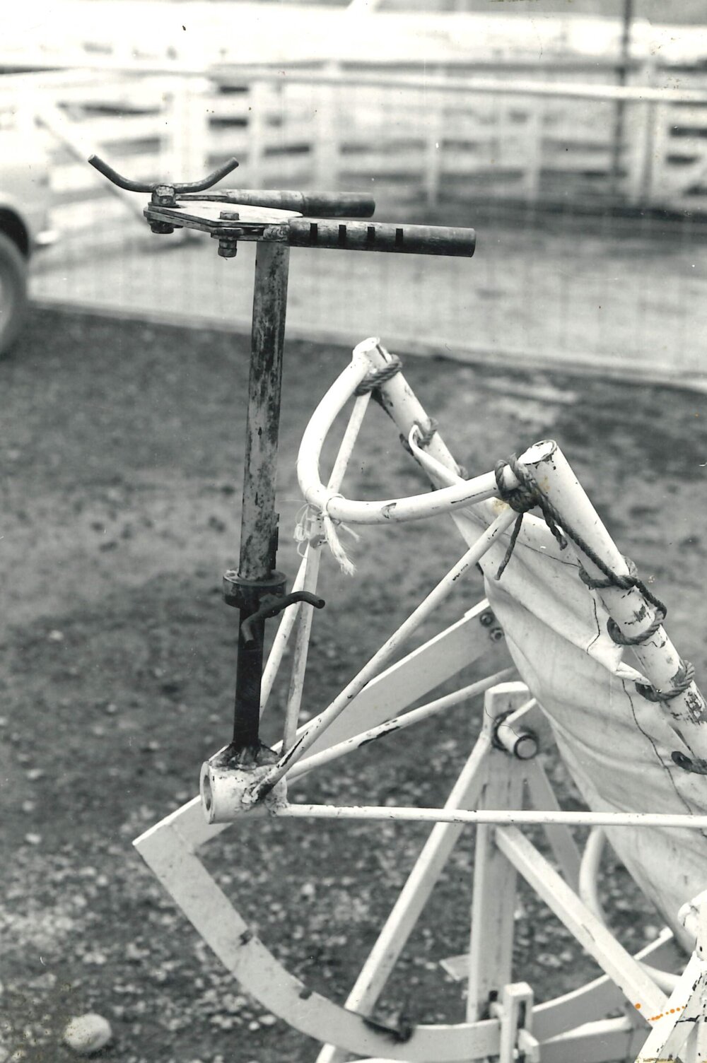 Operation table - Sheep - 7