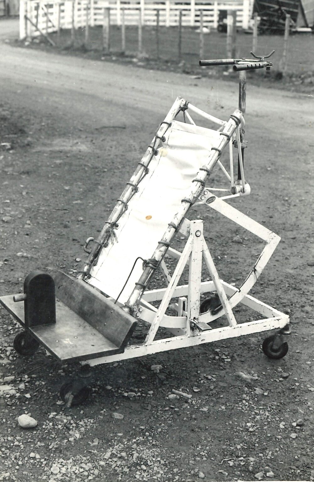 Operation table - Sheep - 4