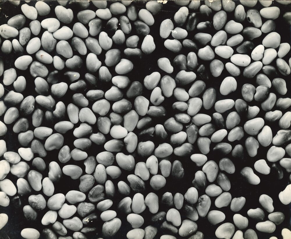 Kernels - 1
