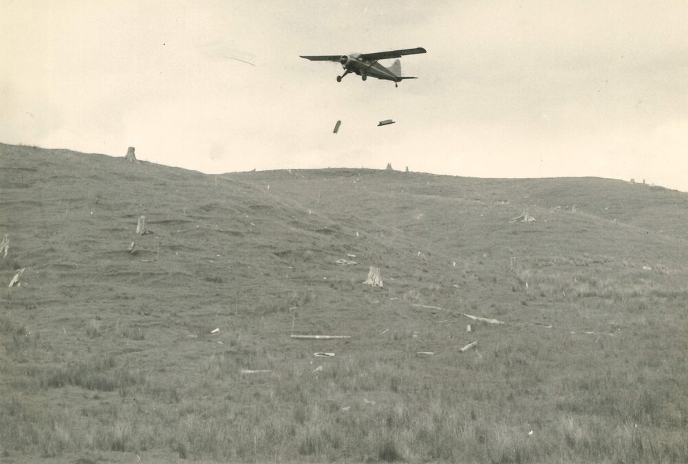 Airplane with carry load