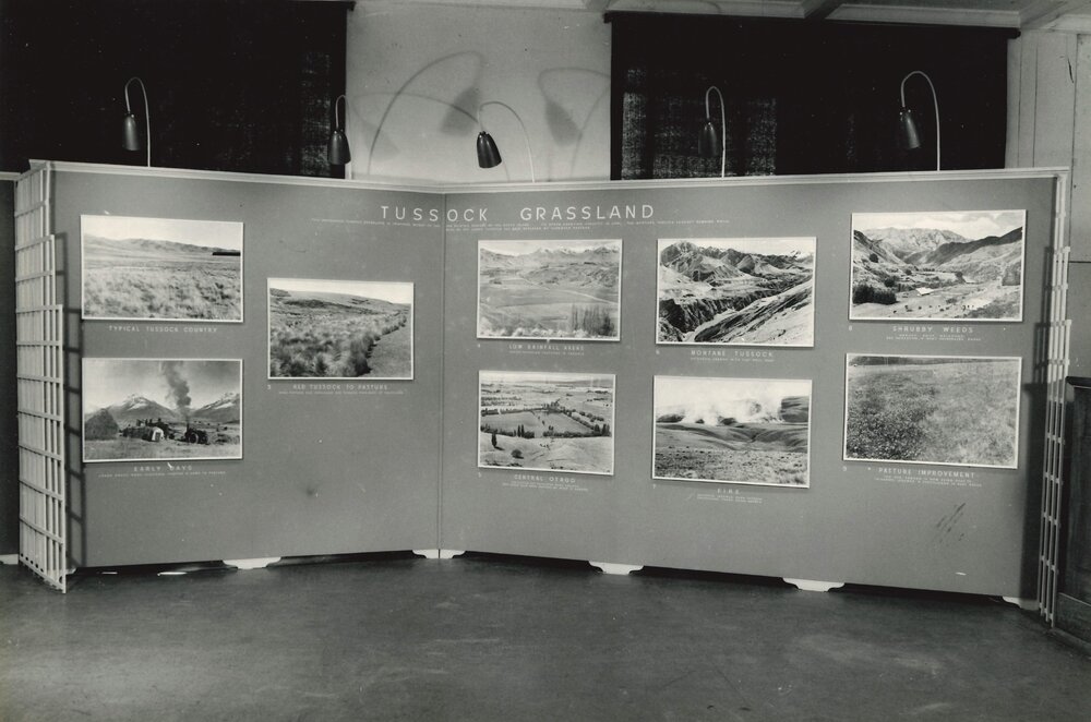 Land Development - 4