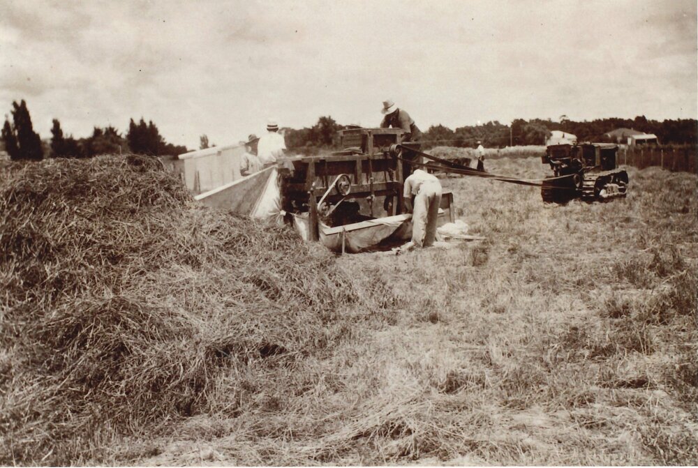 Haymaking - 1