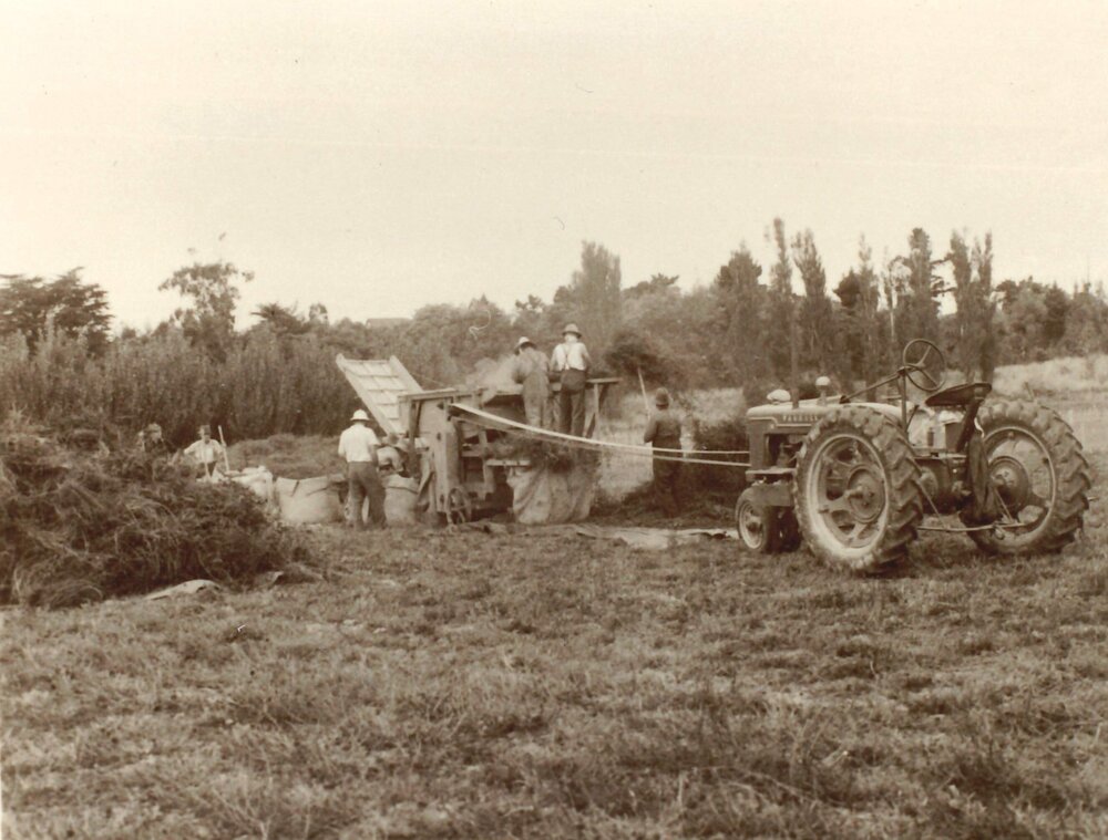 Haymaking - 2