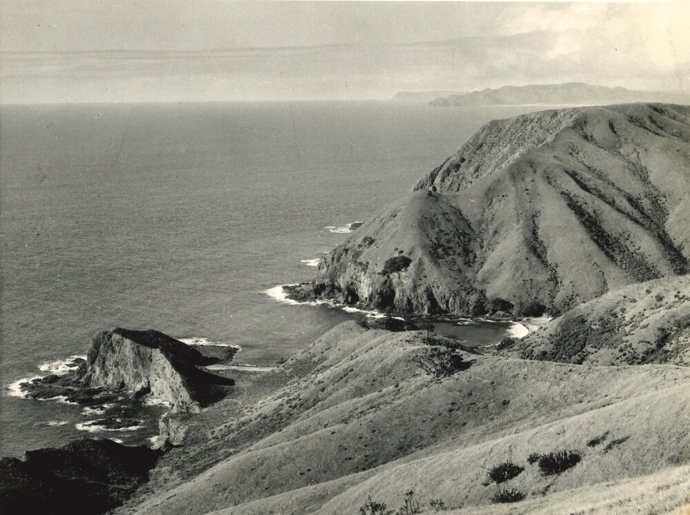 Land and seascape - New Zealand