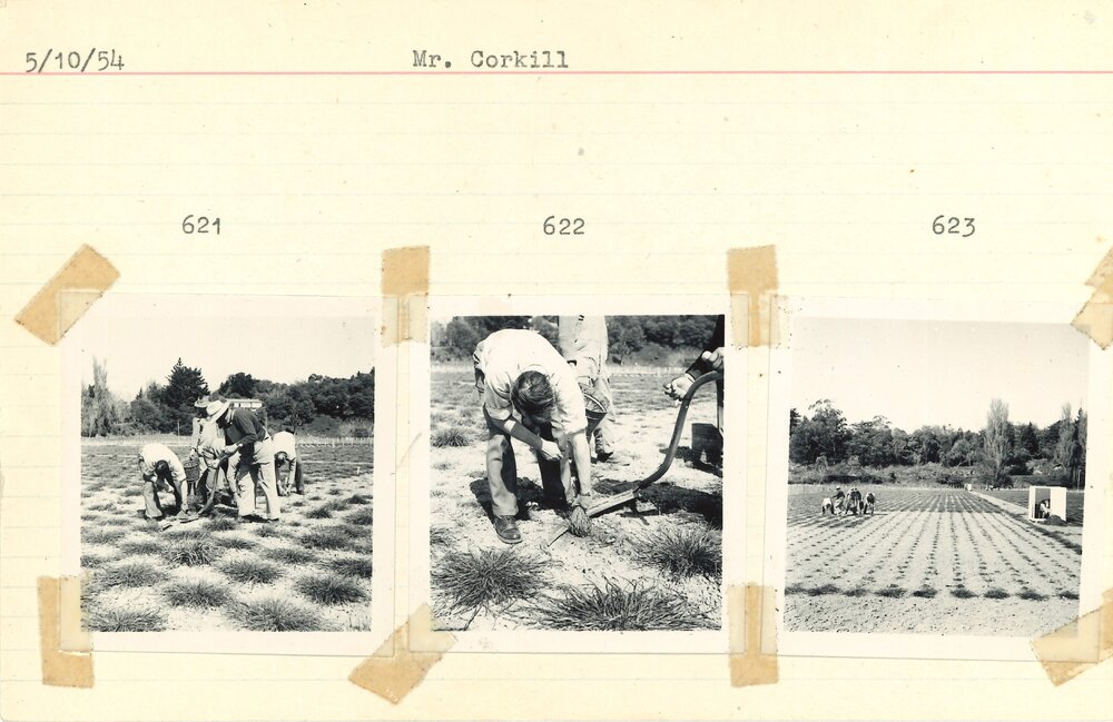 Mr. Corkill at work - 2