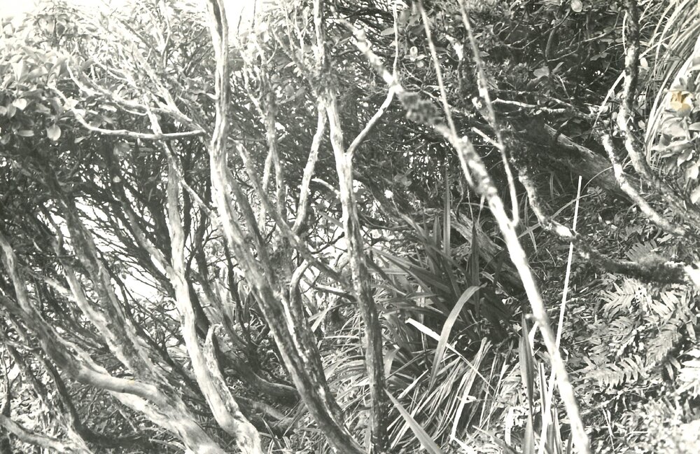 Alex Knob - view - 11