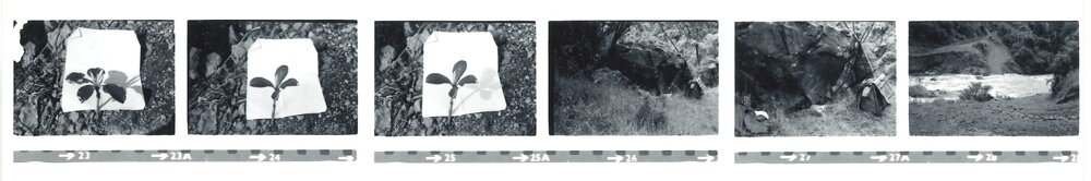 Alex Knob - view - 4