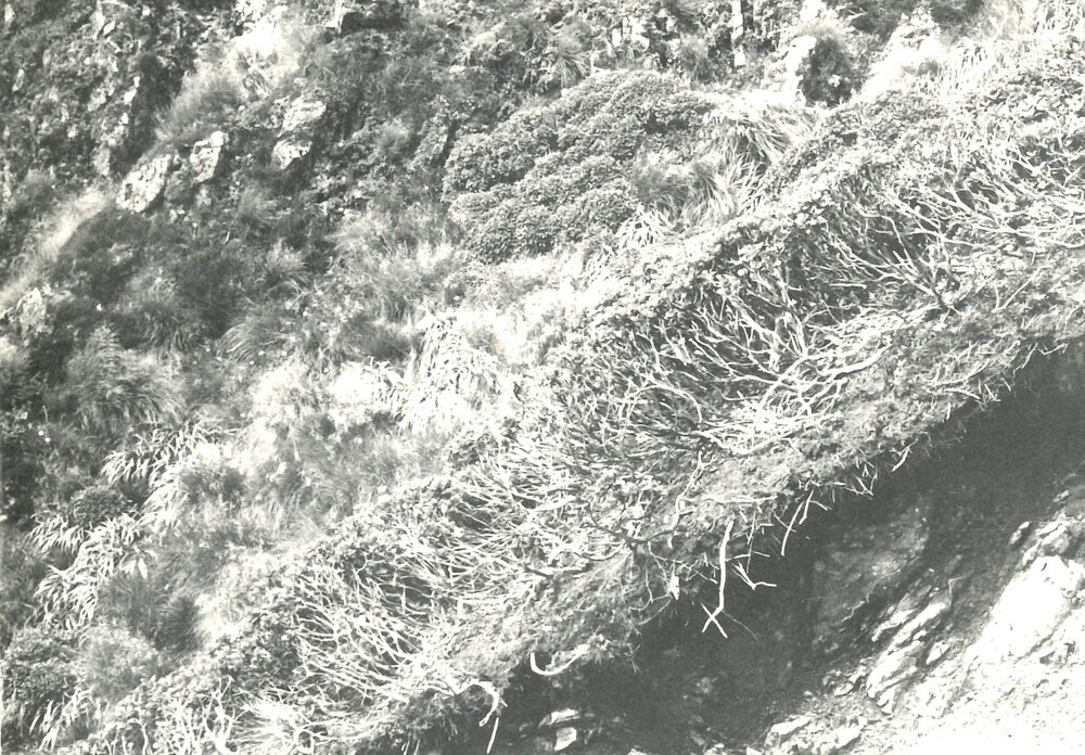 Alex Knob - view - 8