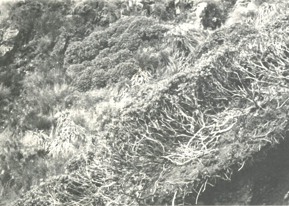 Alex Knob - view - 10