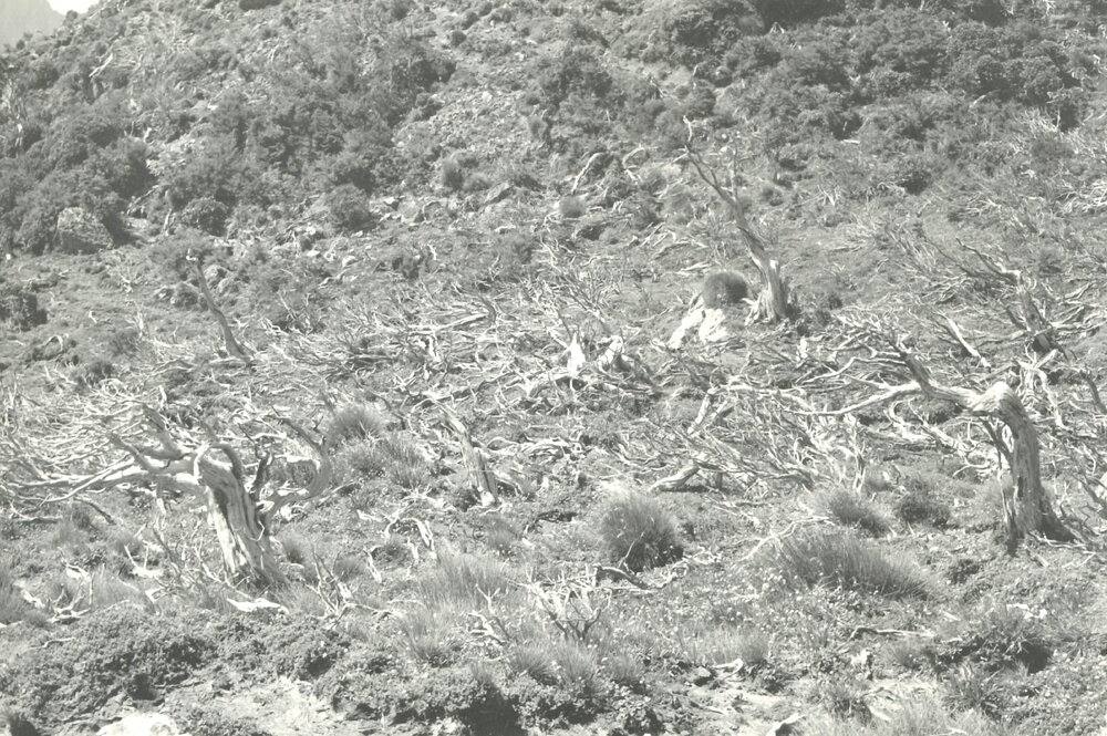 Alex Knob - view - 9