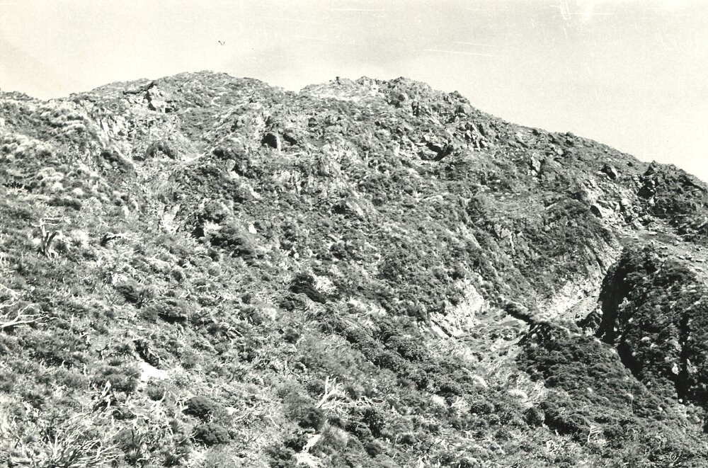 Alex Knob - view - 6