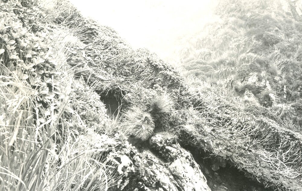 Alex Knob - view - 7