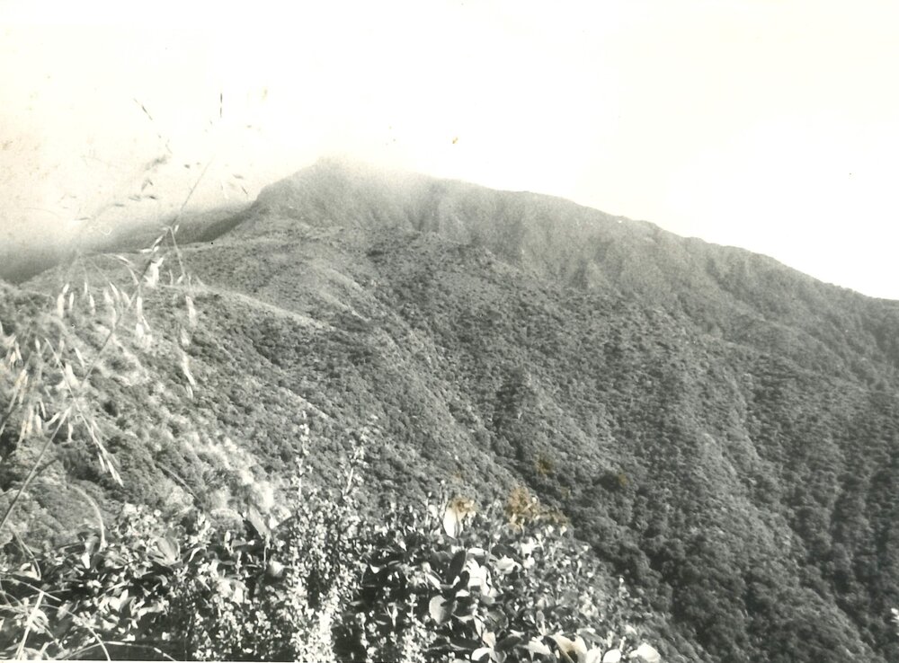 Alex Knob - view - 5