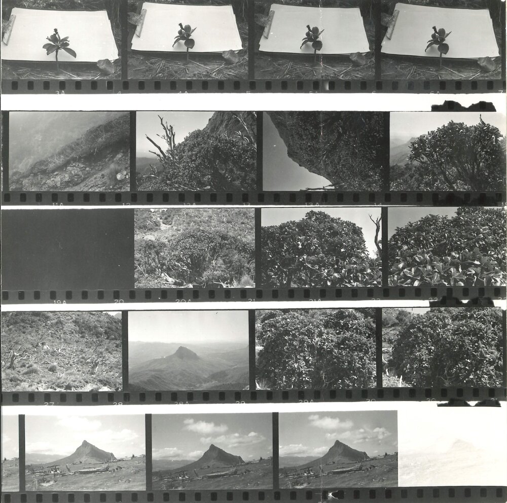 Alex Knob - view - 2