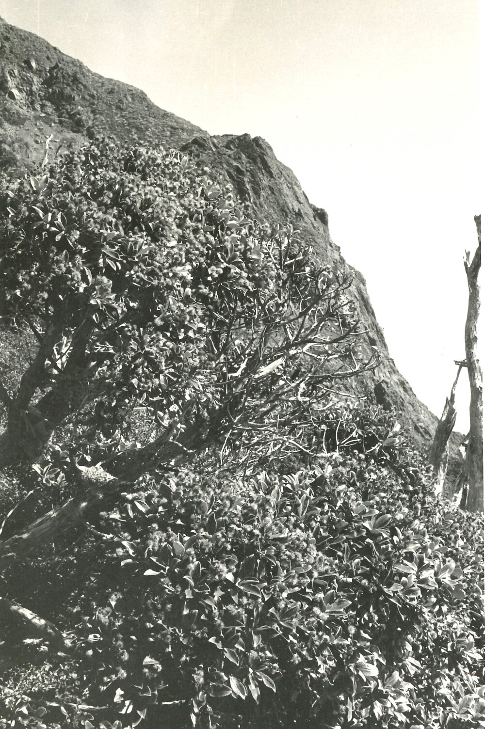 Alex Knob - view - 1