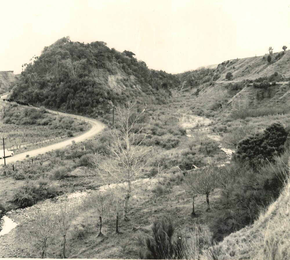 Valley - 1960