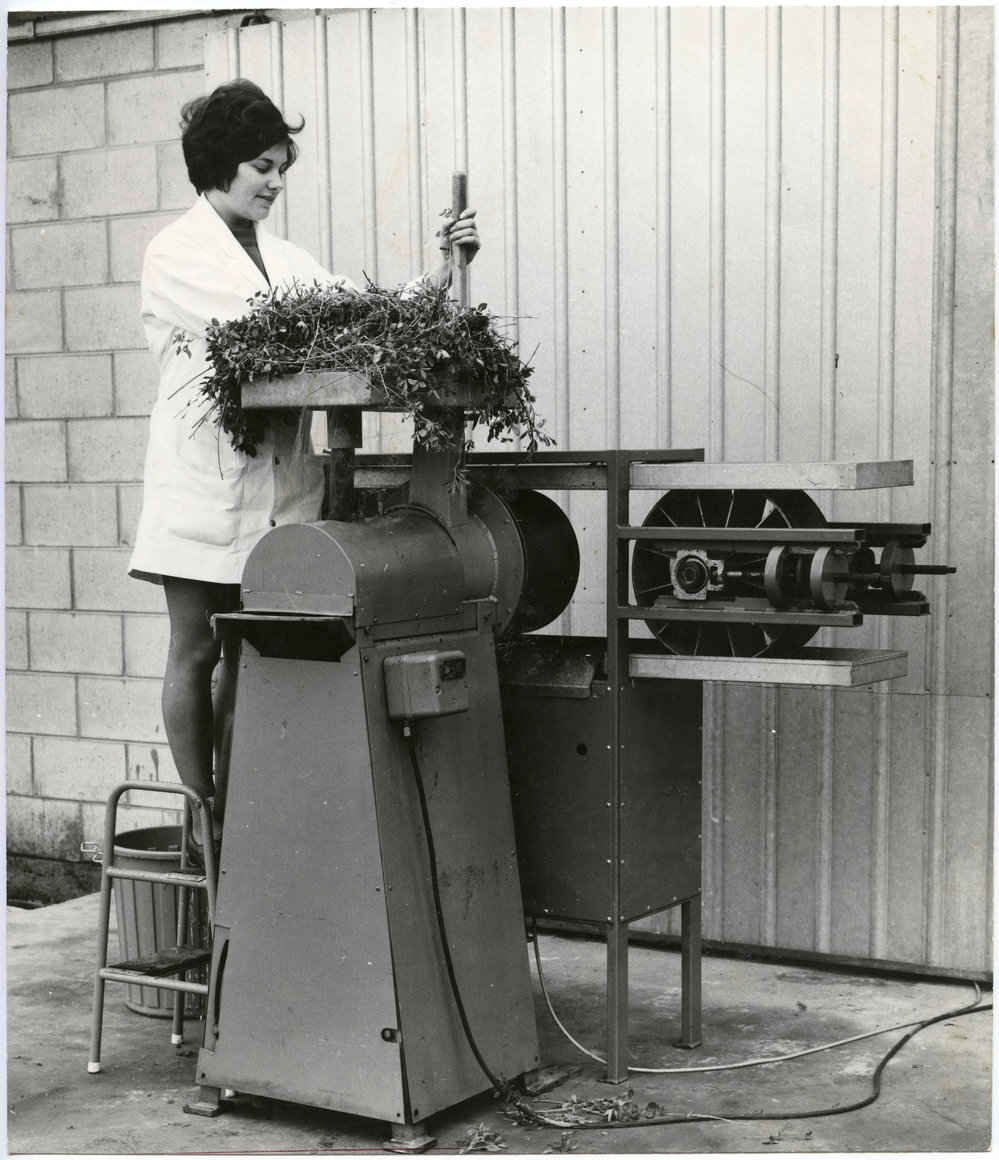 Pamela Fletcher operating a grinder