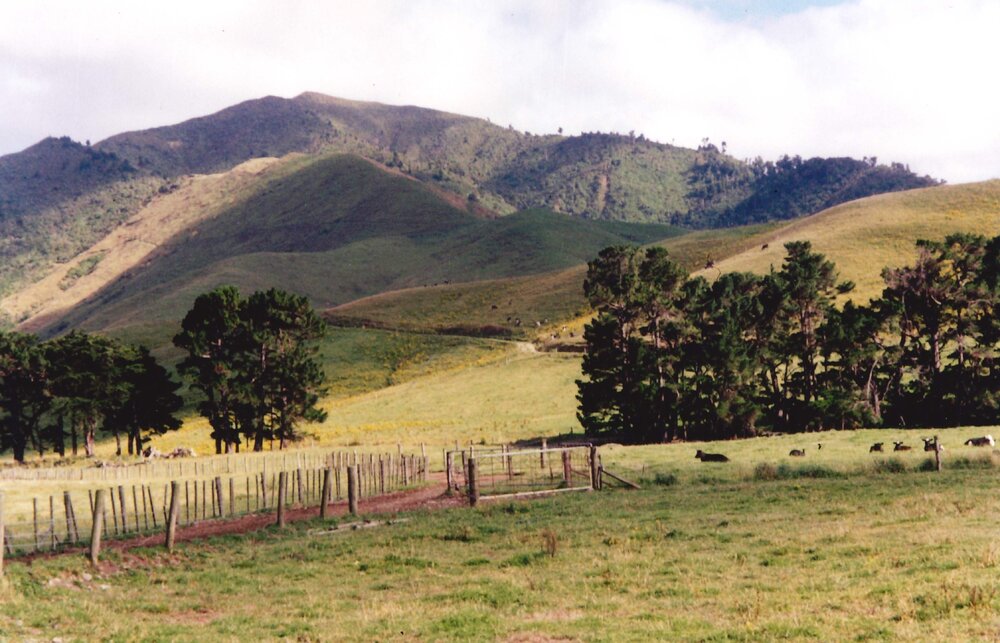 Ballantrae landscape - 1