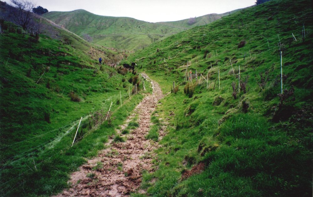 Ballantrae landscape - 2