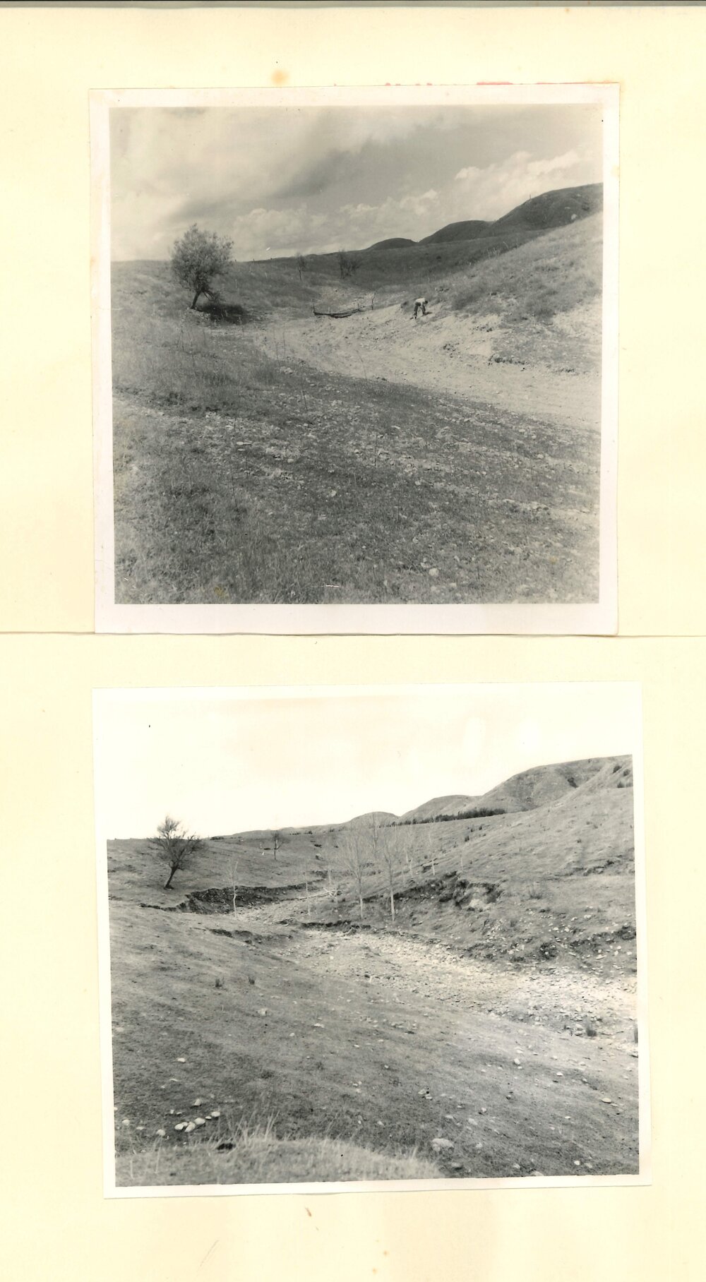 Before planting, after planting