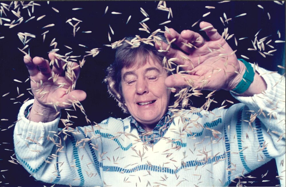 Margot Forde - seeds - 3