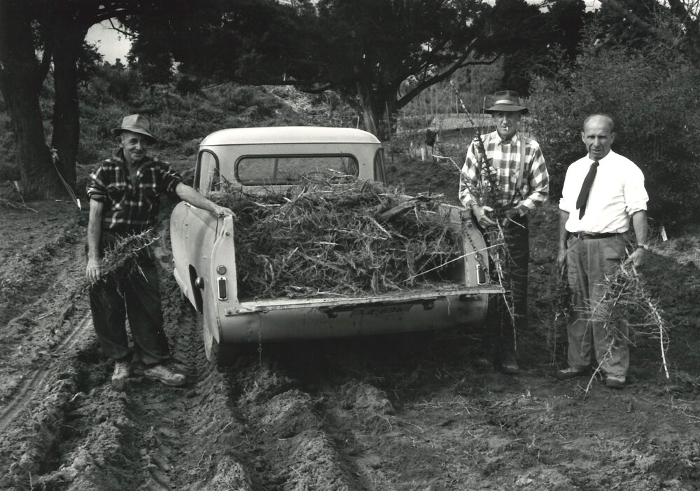 Slash - Turitea stream - 3