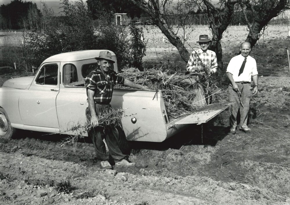 Slash - Turitea stream - 2