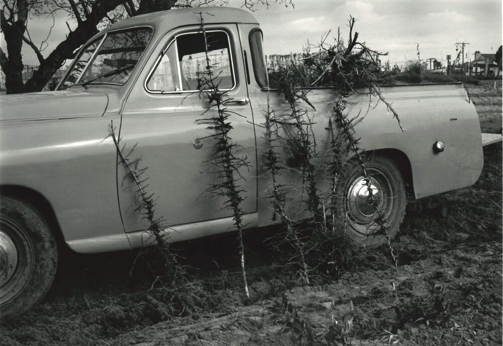 Slash - Turitea stream - 1