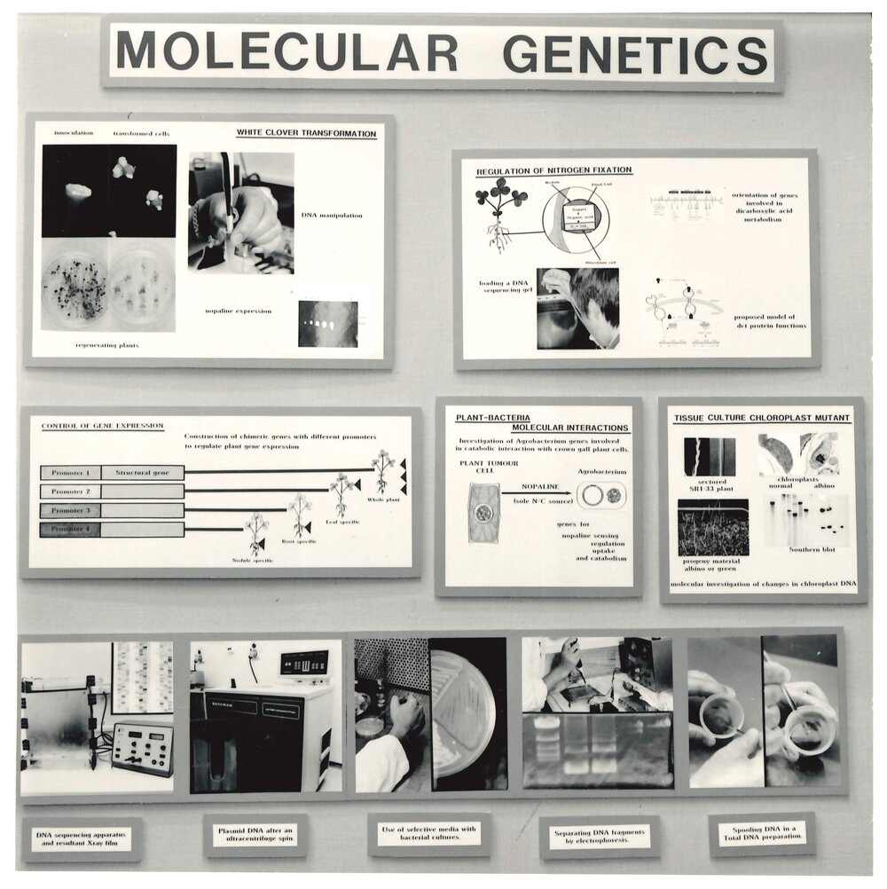 Molecular Genetics - 1