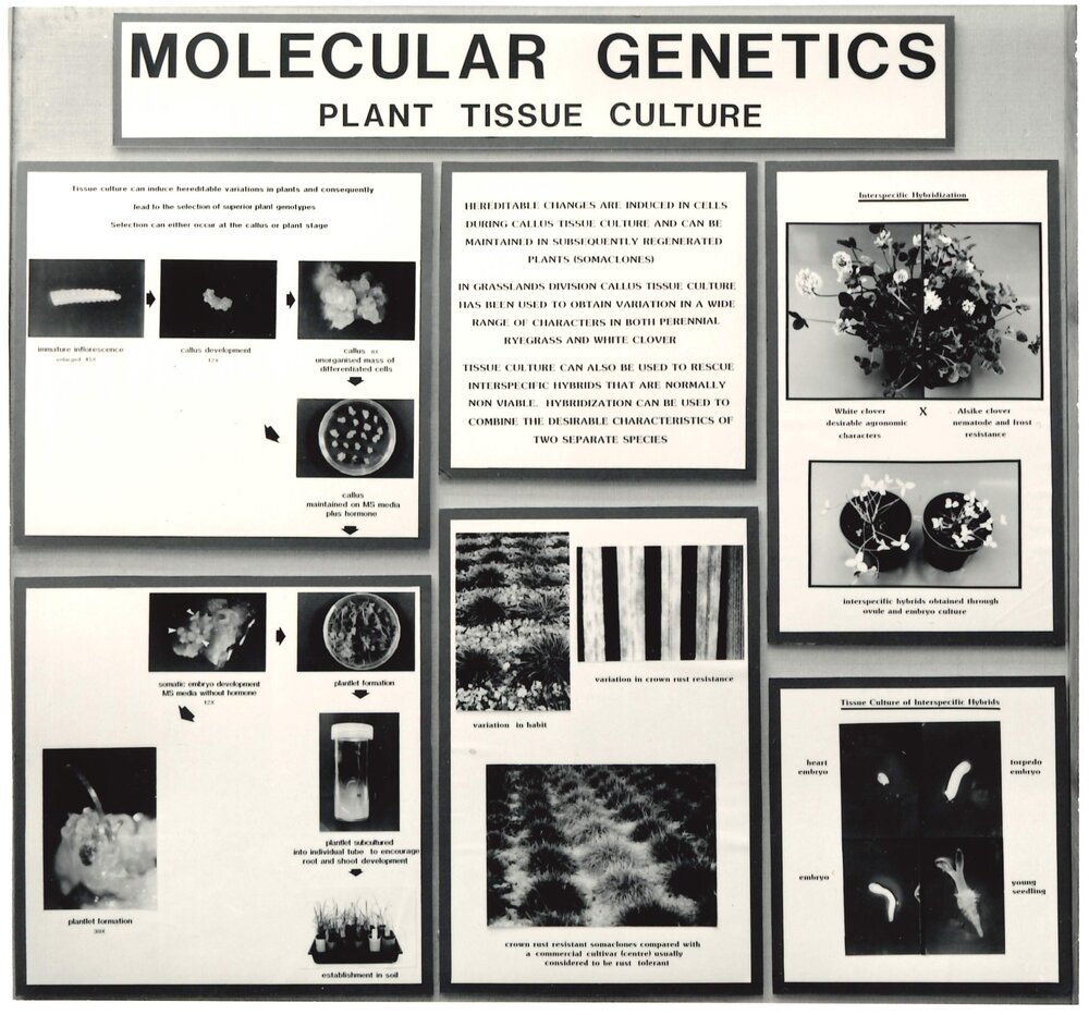 Molecular Genetics