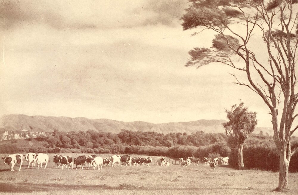 Four o'clock - going to the shed