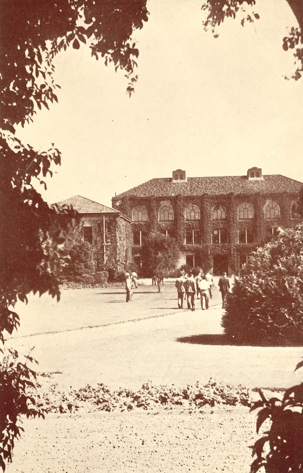 Sun and shade - Massey Agricultural College 