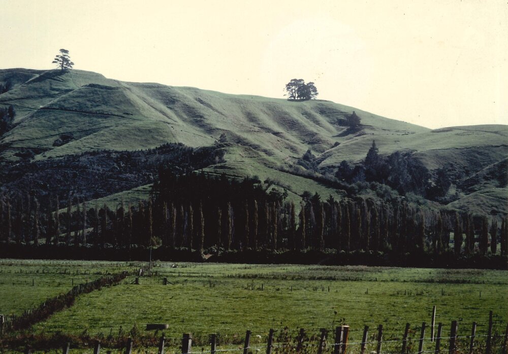 Countryside