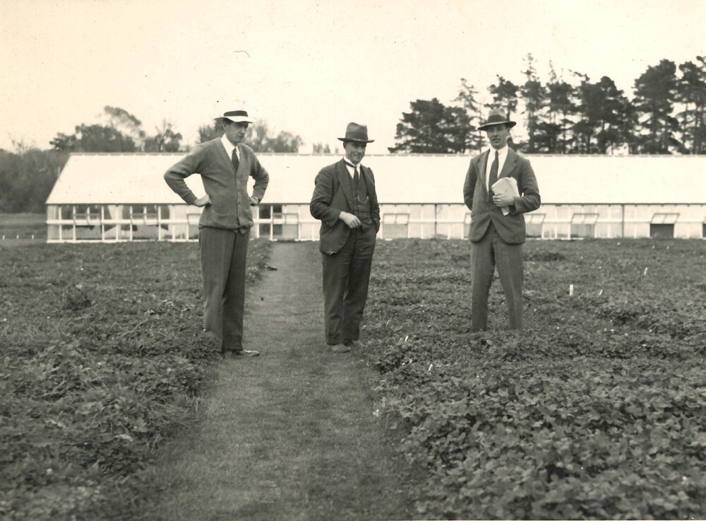 Saxby - Levy - Gorman