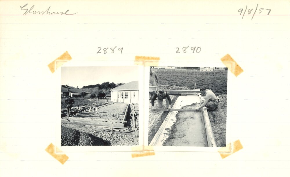 Glasshouse construction - 4