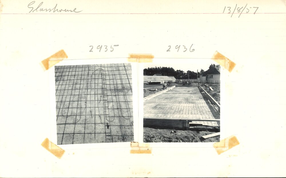 Glasshouse construction - 7