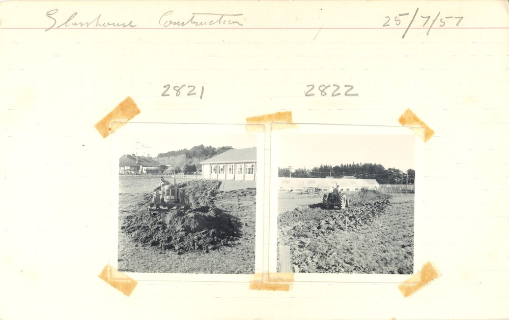 Glasshouse construction readiness