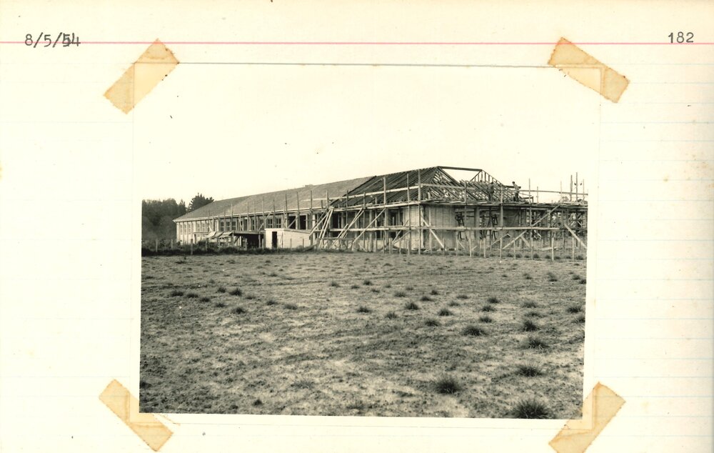 Grasslands construction - 7