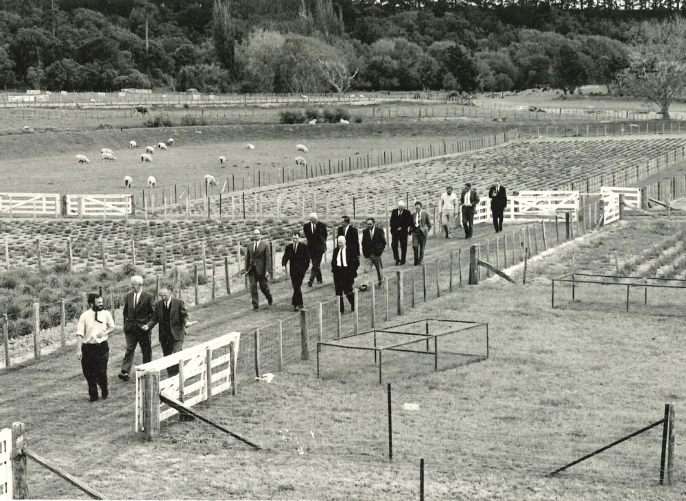 Visitors on the Grasslands site - 1