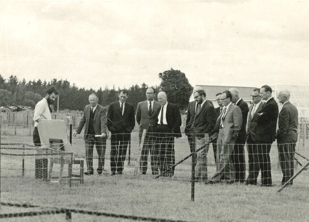 Visitors on the Grasslands site - 2