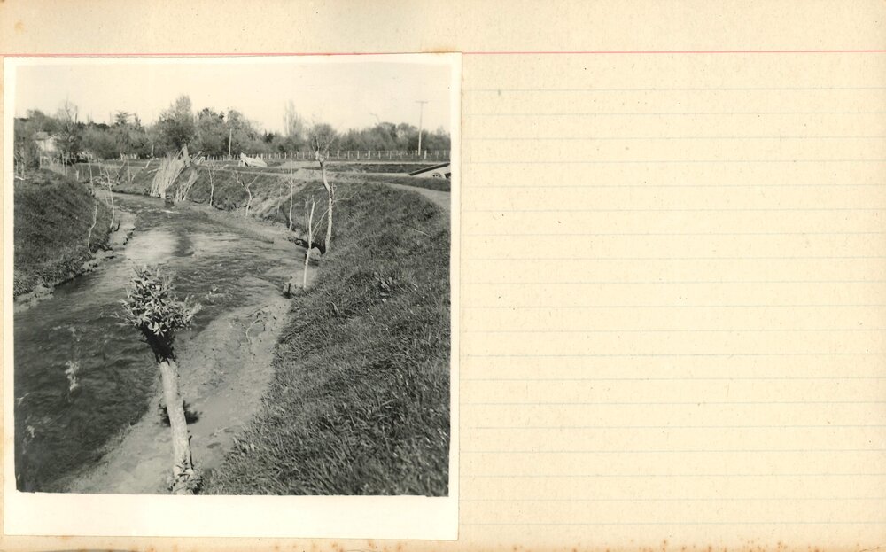 Turitea stream - 1966 - 5