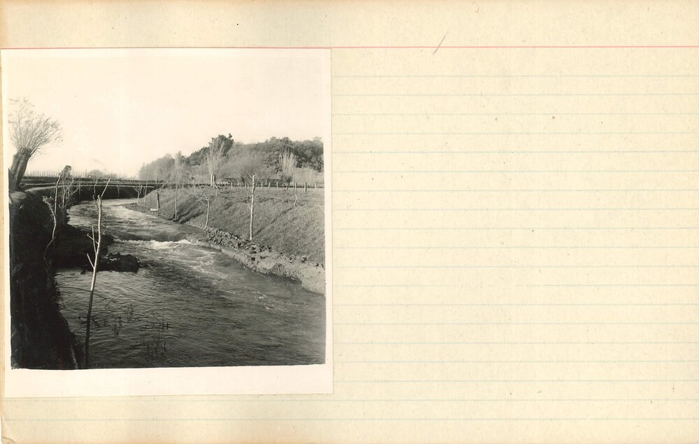 Turitea stream - 1966 - 4