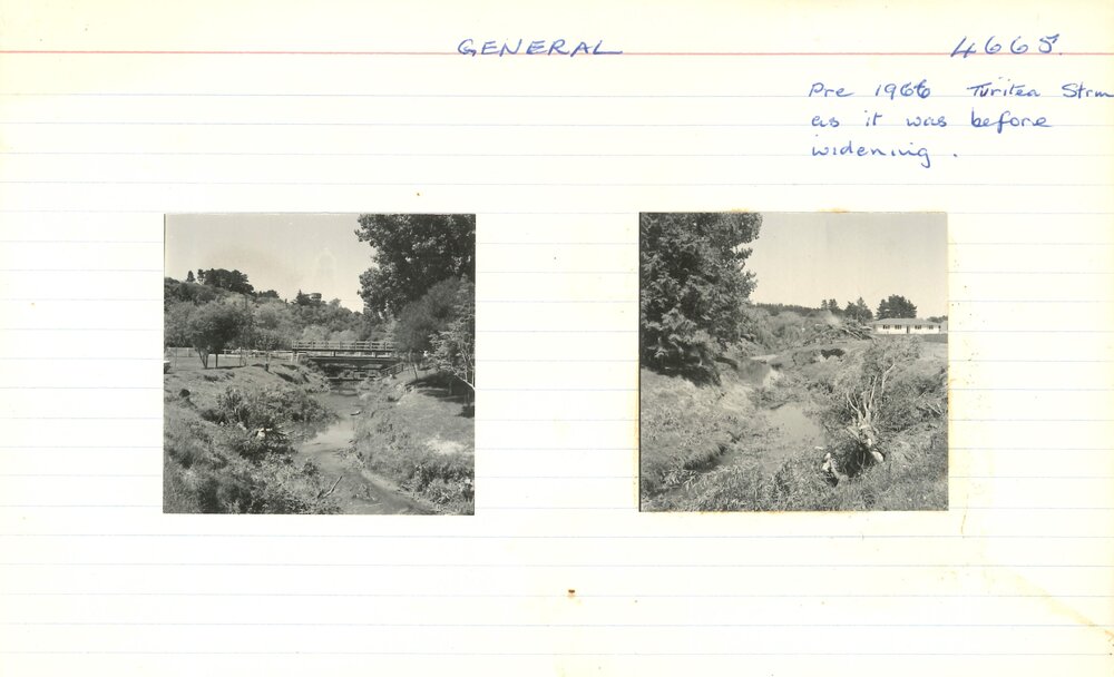 Turitea stream - 1966 - 1