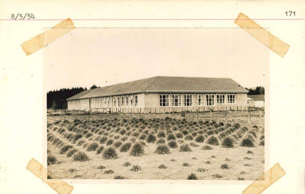 Early Grasslands site - 5