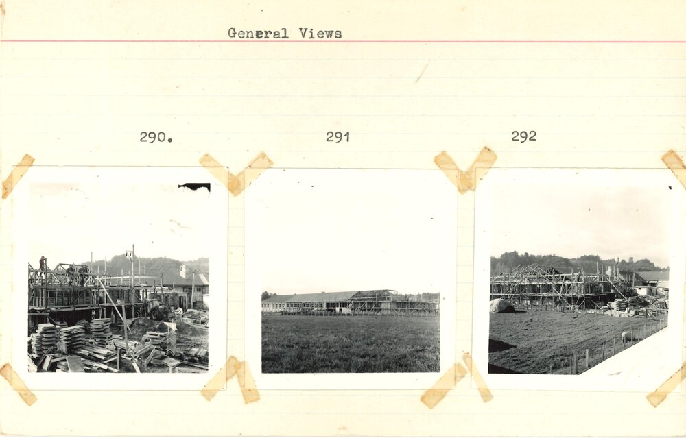 Early Grasslands site - 4