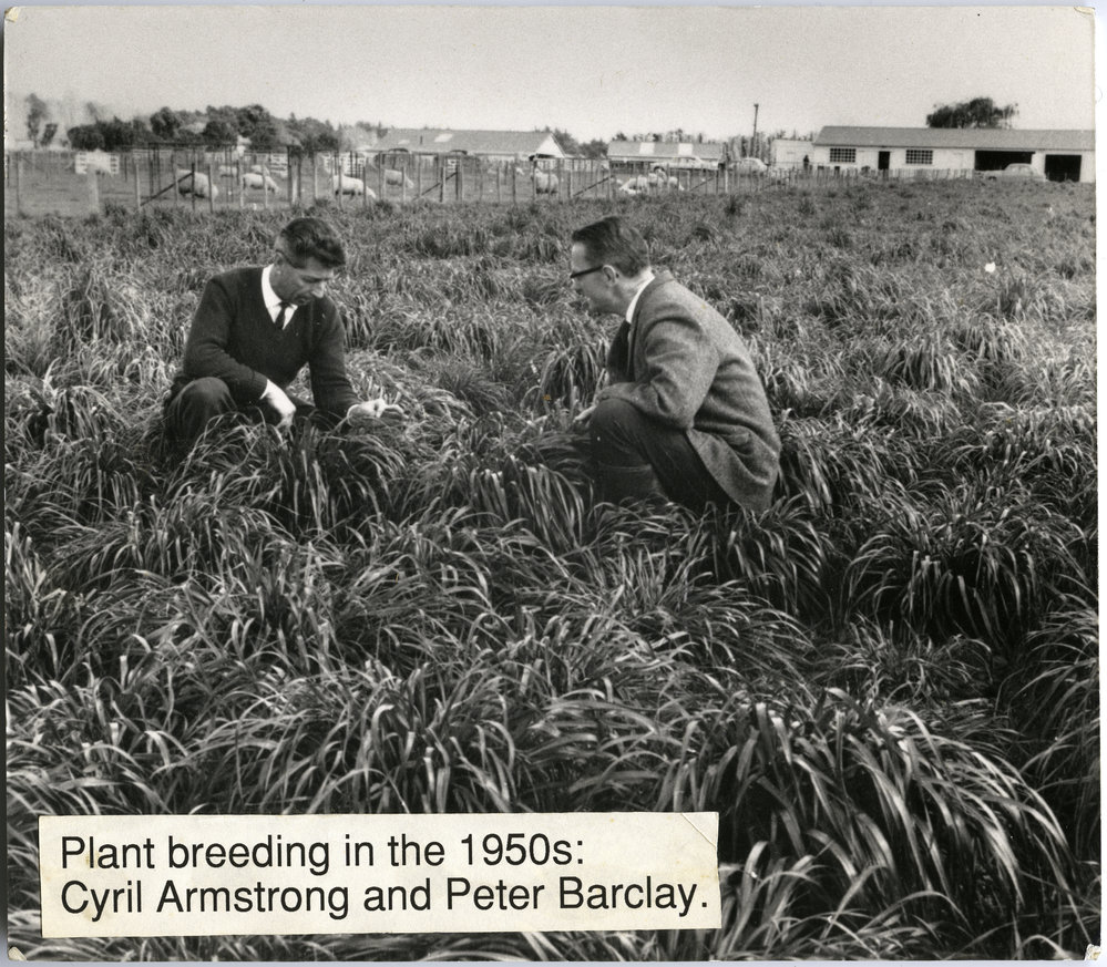 Cyril Armstrong and Peter Barclay examining grass in a field