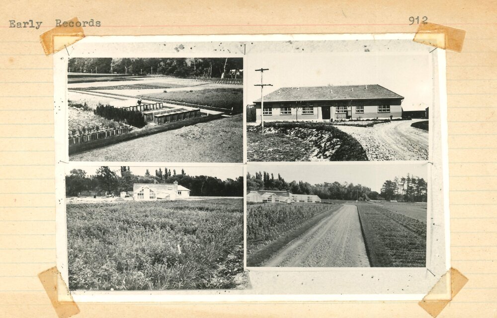 Early Grasslands site - 1