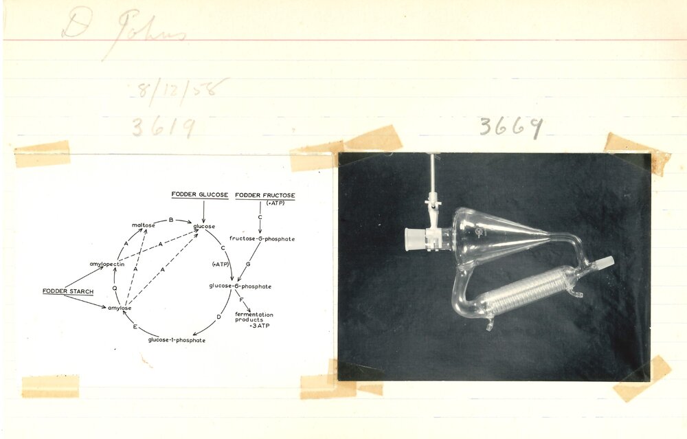 Fodder glucose - Fodder fructose