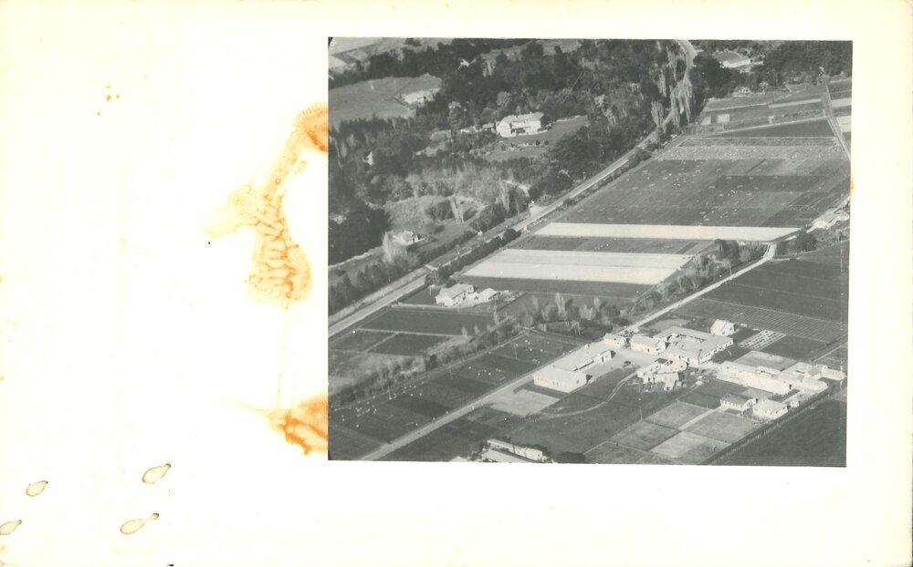 General view of Grasslands - 1946